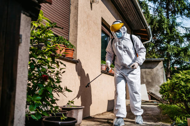 Best Ant Control Services  in Keyser, WV