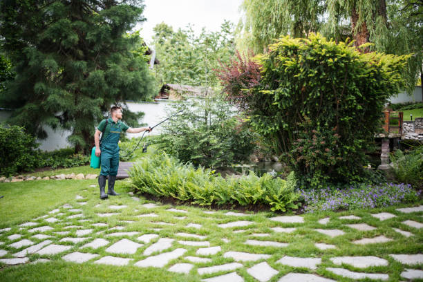 Best Pest Removal Services  in Keyser, WV