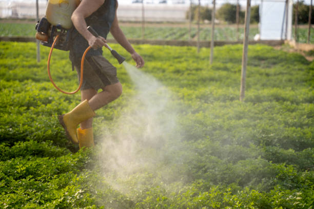 Pest Control Cost in Keyser, WV
